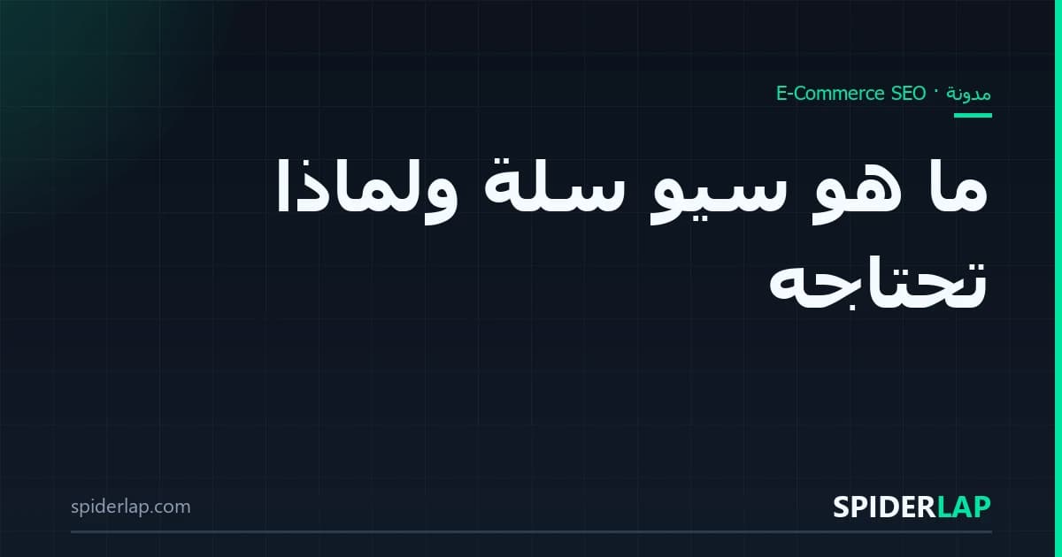 ما هو سيو سلة ولماذا تحتاجه